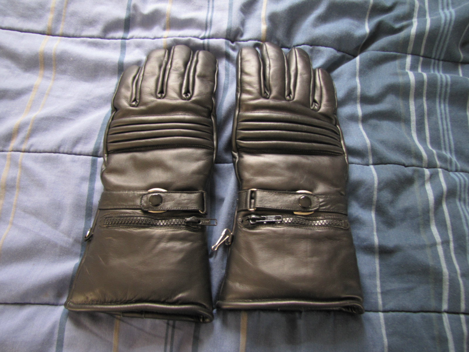 gloves-temp.JPG